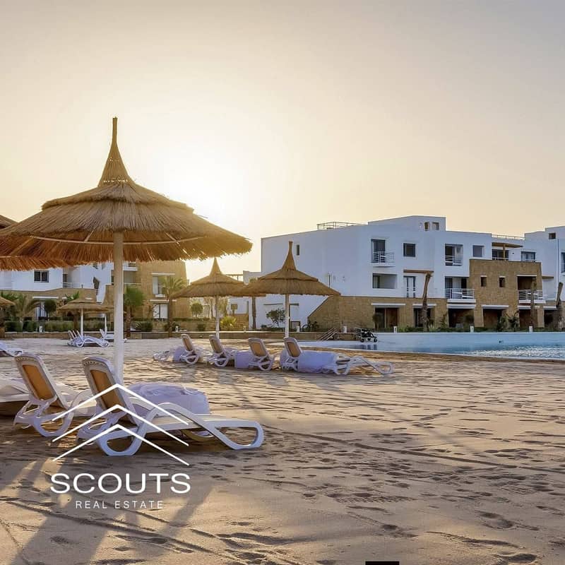 13 557634456_122284838594012060_5902696601311424516_n. jpg