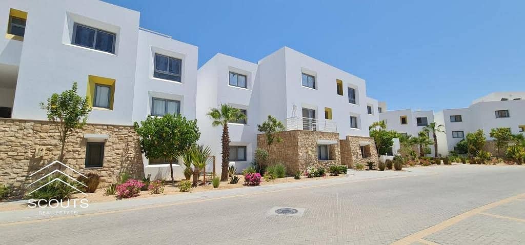 17 558886012_122094274005062783_8974658107360153394_n. jpg