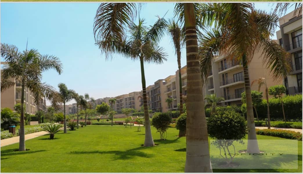 10 WhatsApp Image 2024-07-21 at 1.26. 17 PM (2). jpeg