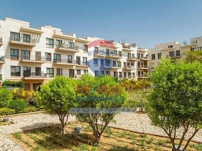 3 Bedroom Apartment for Rent in Sheikh Zayed, Giza - 2cd133c4-bba9-4cd8-983b-6a7032c3f8c9. png