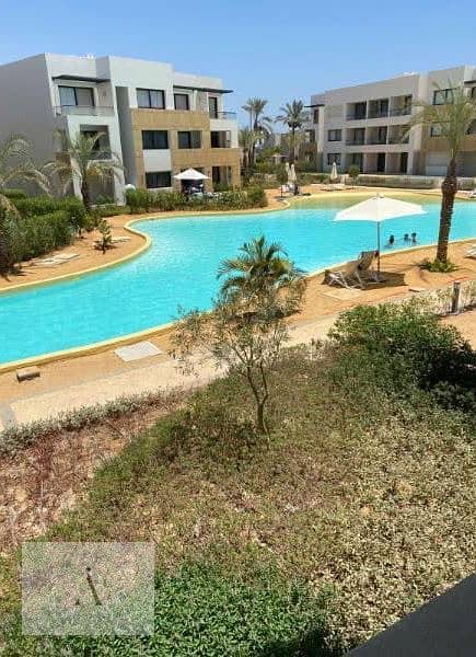 4 WhatsApp Image 2025-10-26 at 11.09. 02 AM (2). jpeg