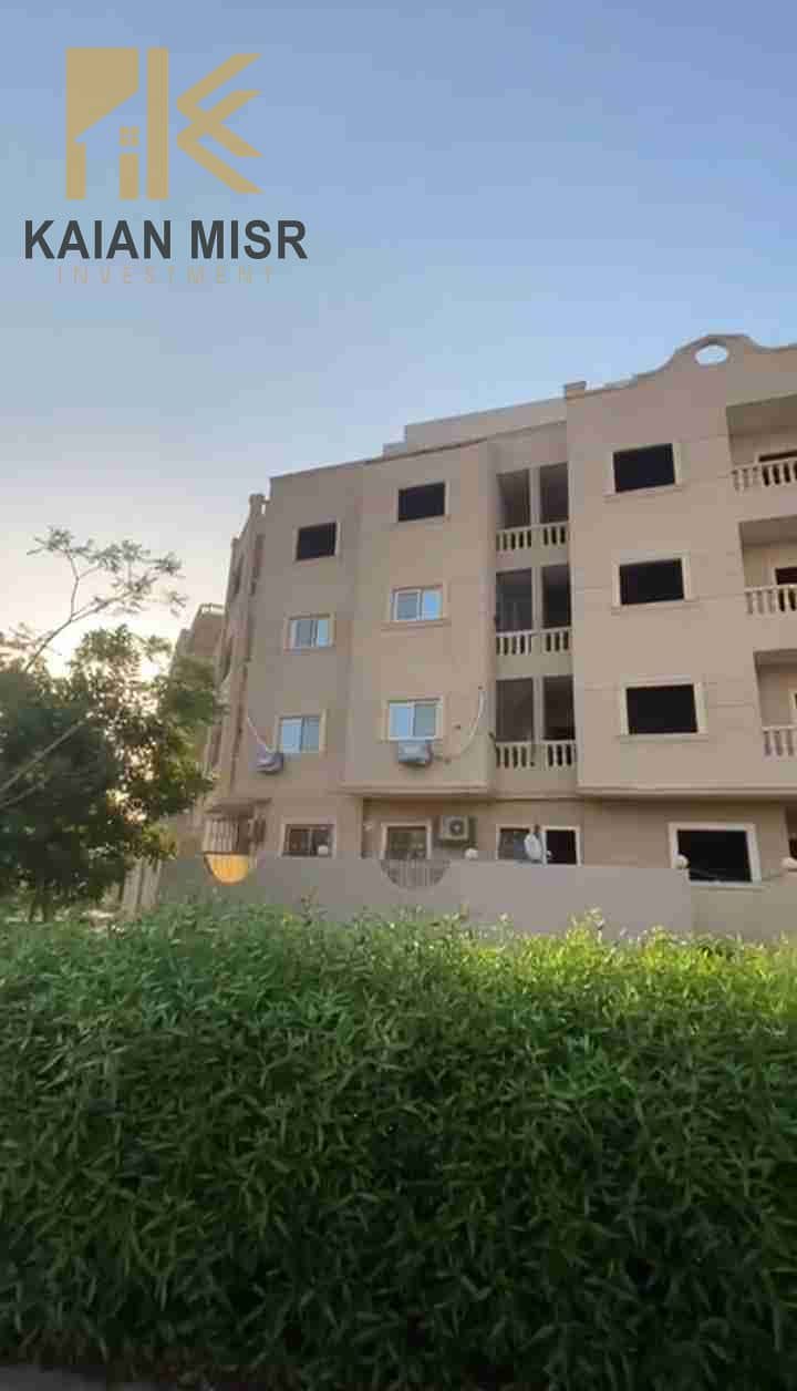 1000015868. jpg 1000015868. jpg