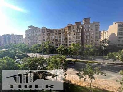 3 Bedroom Flat for Sale in Madinaty, Cairo - 1000380568. jpg 3 Bedroom Flat for Sale in Madinaty, Cairo - 1000380568. jpg