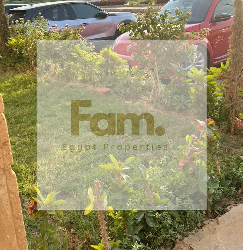 3 IMG-20251015-WA0127. jpg