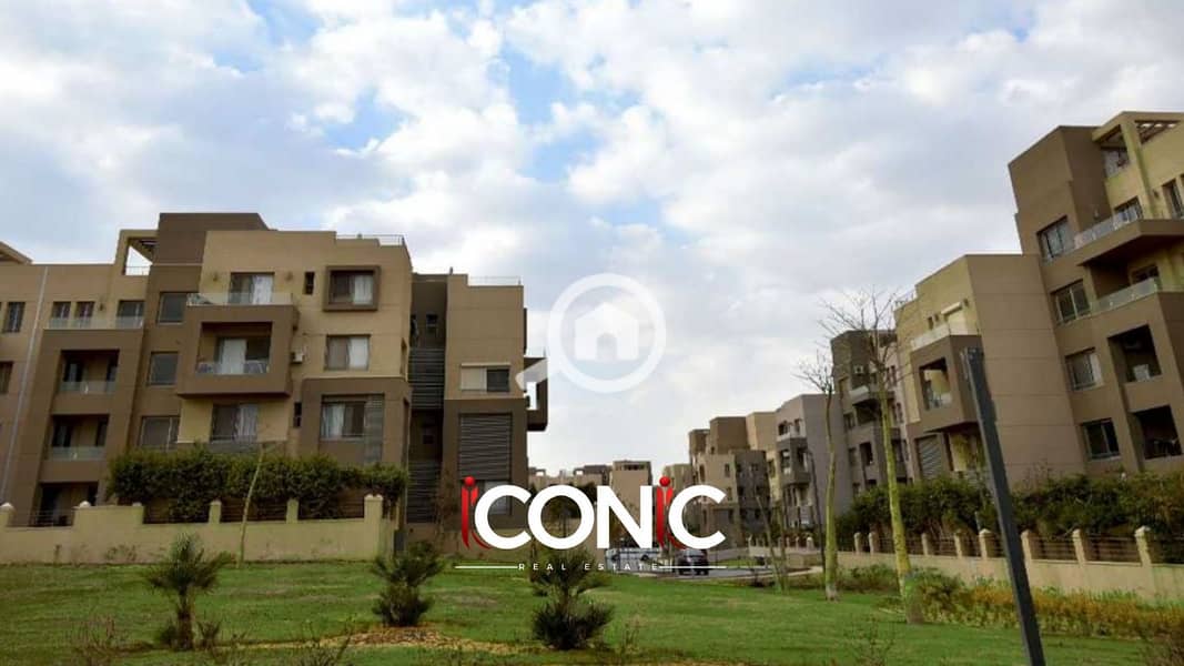 3 Untitled design (58). png