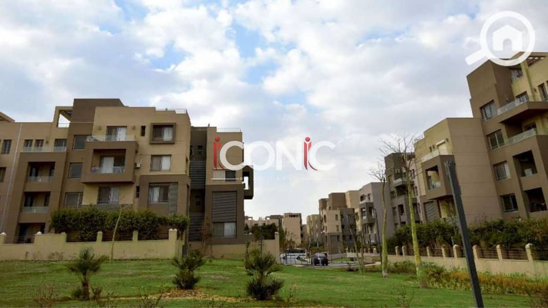 9 Untitled design (60). png