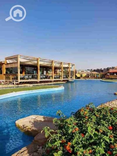 2 Bedroom Apartment for Sale in New Cairo, Cairo - 1000469343. jpg 2 Bedroom Apartment for Sale in New Cairo, Cairo - 1000469343. jpg