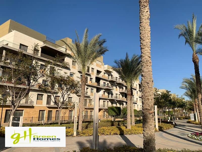 10 WhatsApp Image 2024-02-19 at 2.48. 24 PM (1). jpeg