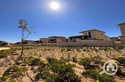 5 5447562-705c4o. jpg