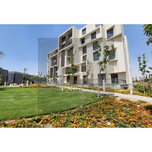 9 6721766-1dbf1o. jpg