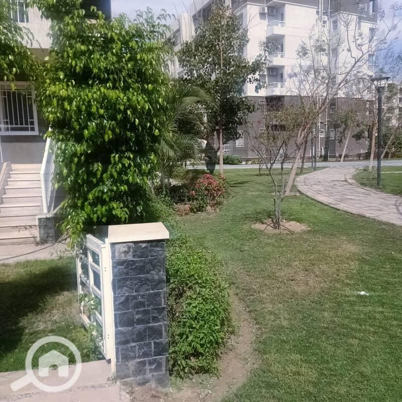 14 eb11698c-c21a-4bb7-bf0a-edec7bbcd89a. jpeg