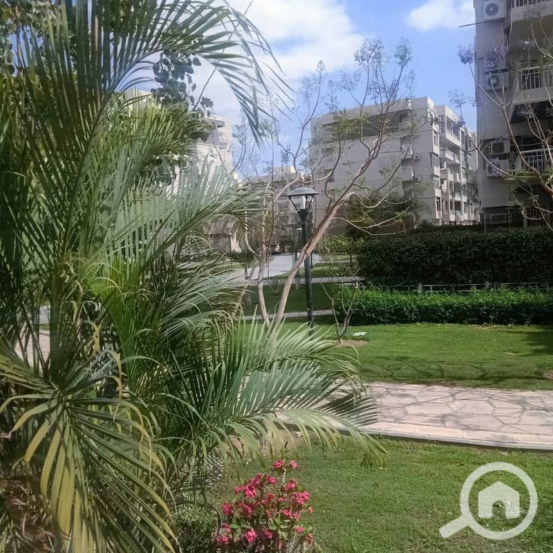 15 f55fc990-c54f-4870-b684-dcd517c373f7. jpeg