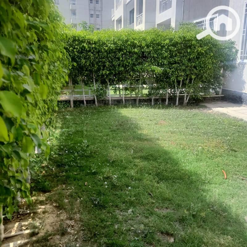 17 ffb44668-381b-455b-90bf-15ef43593173. jpeg