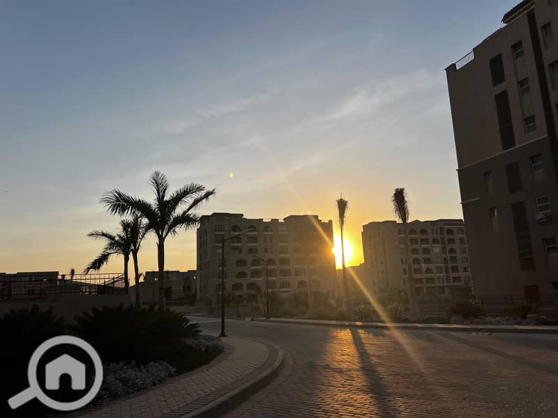 8 5db69b85-5269-4de6-854c-0d96df56685e. jpg