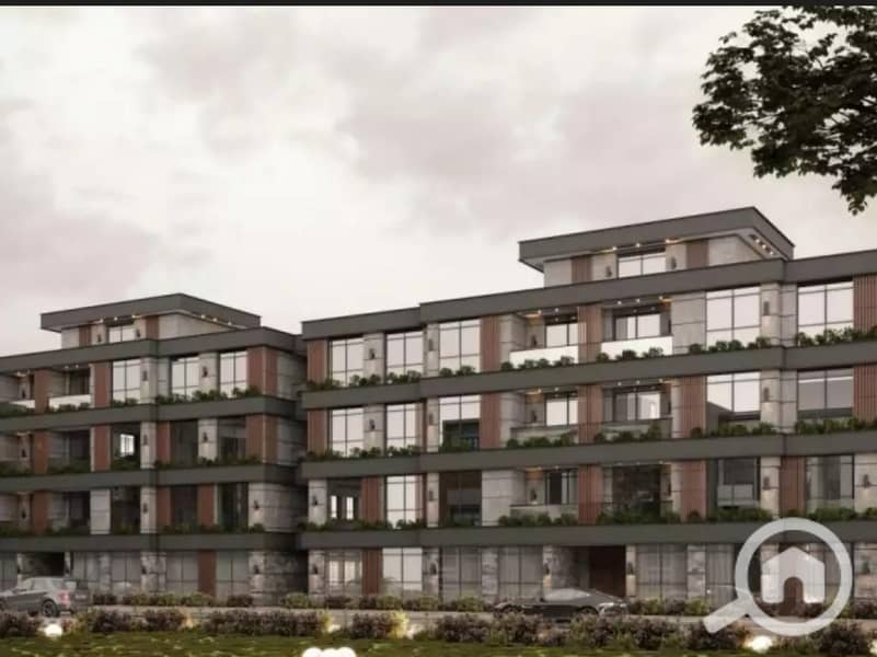 4 8d297c5b-de15-4e55-9c3d-4f3c01d29a21. jpeg