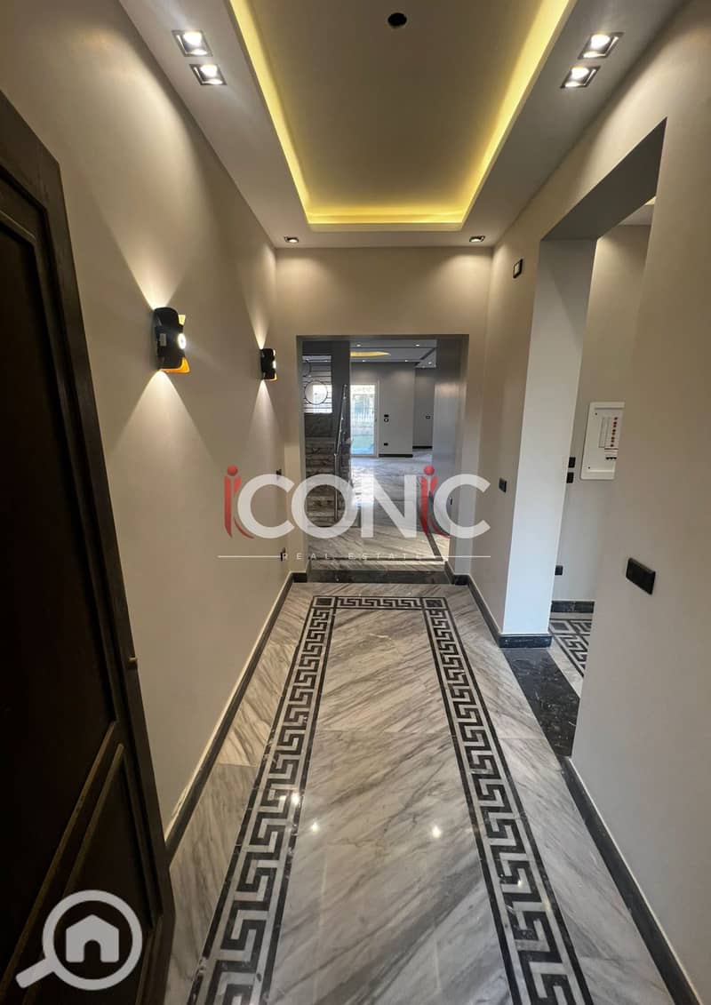 3 Untitled design (63). png