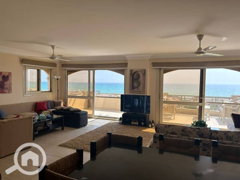 12 WhatsApp Image 2025-10-16 at 3.43. 16 PM. jpeg