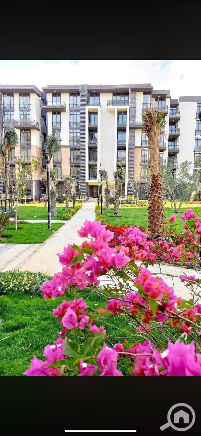 IMG_7743. png IMG_7743. png