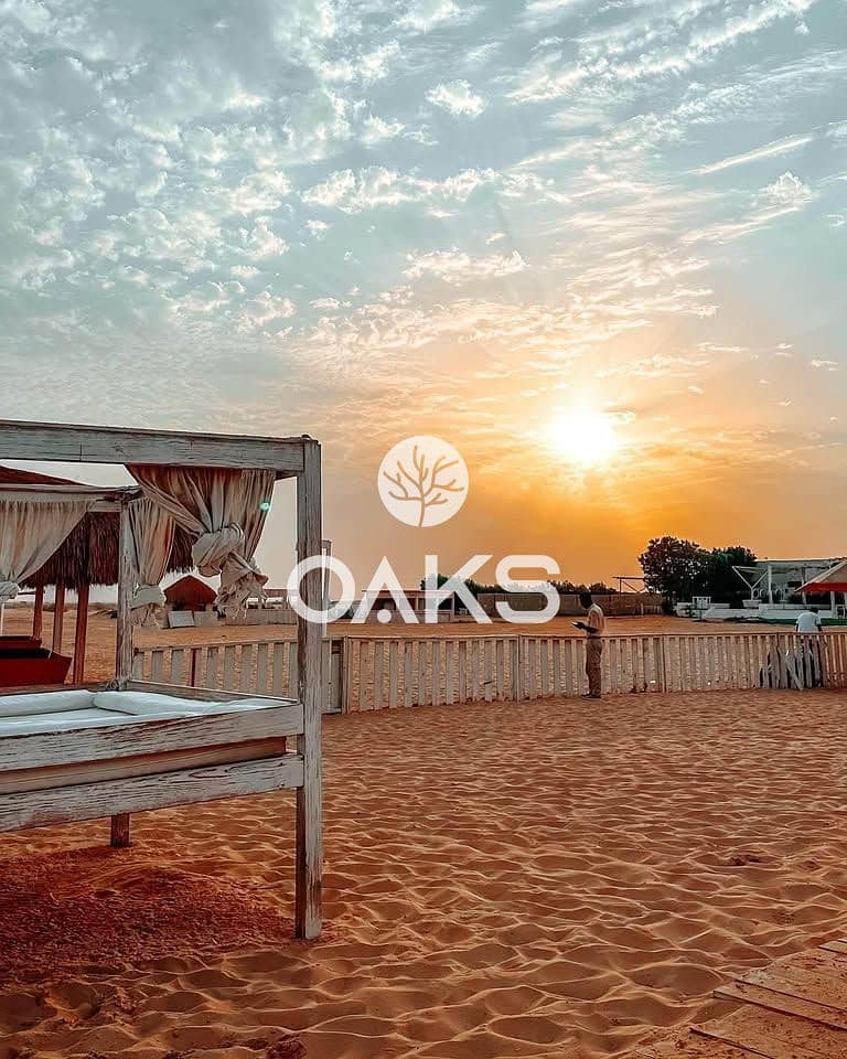 5 467274403_1319266909455419_3133266924502482627_n. jpg