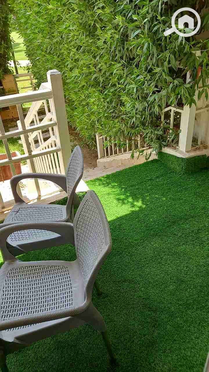 1000390526. jpg 1000390526. jpg