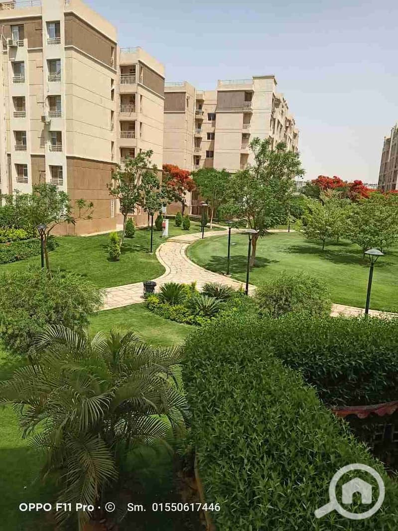 14 1000390533. jpg