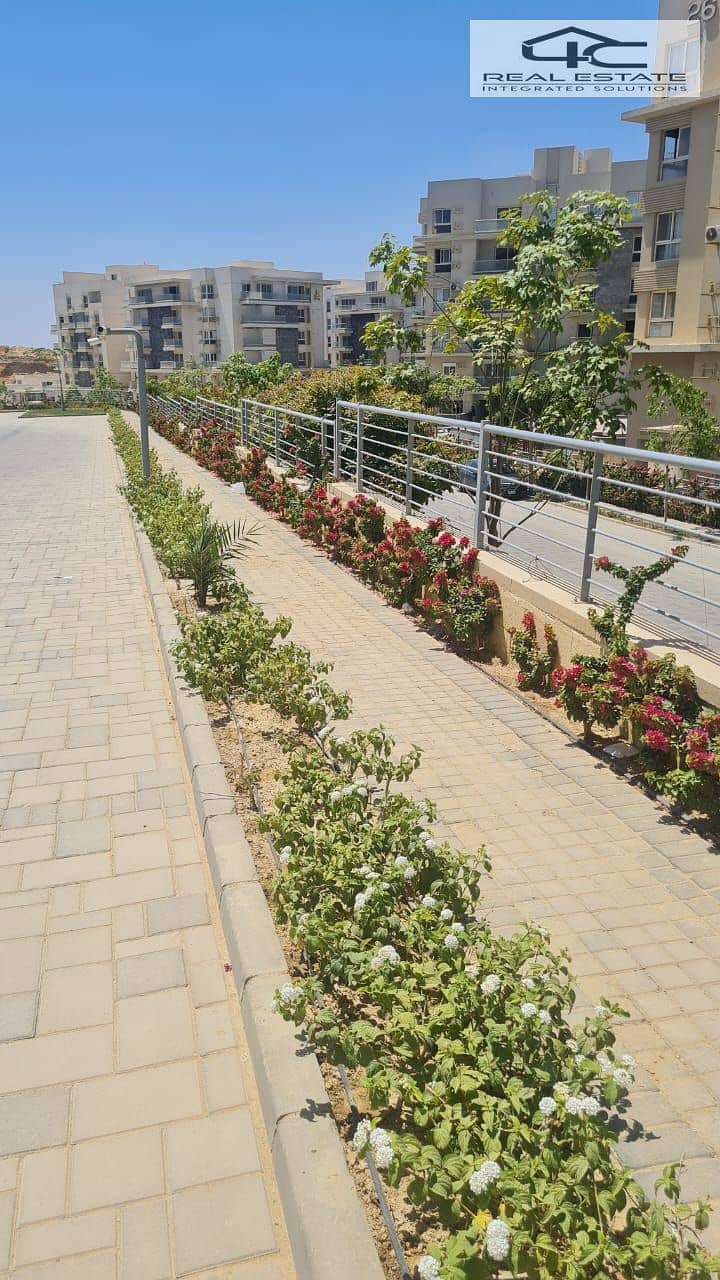 11 WhatsApp Image 2025-05-22 at 17.18. 25_ccc1b8c4. jpg