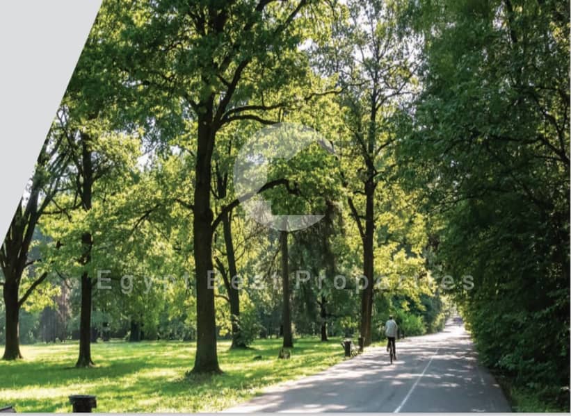 5 WhatsApp Image 2025-06-15 at 15.50. 57_26af8b7d. jpg