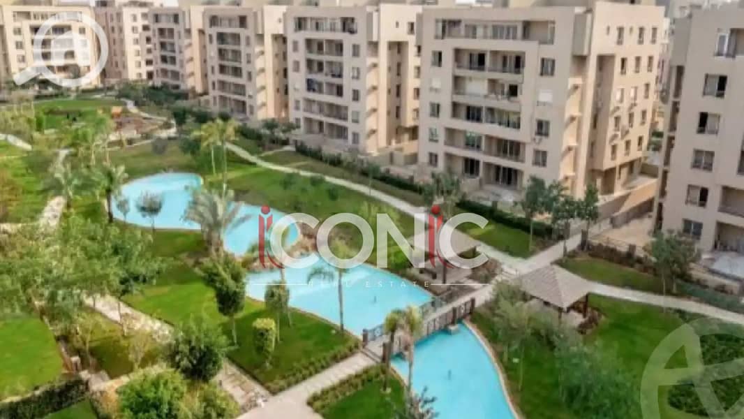 2 Untitled design (67). png