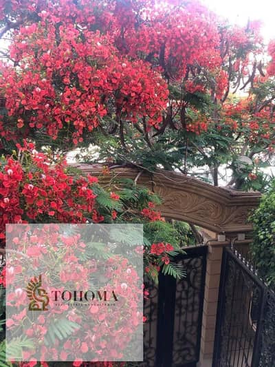 3 Bedroom Apartment for Rent in New Cairo, Cairo - 2f82d695-7687-42e5-81c3-5d35f67d0739. jpg