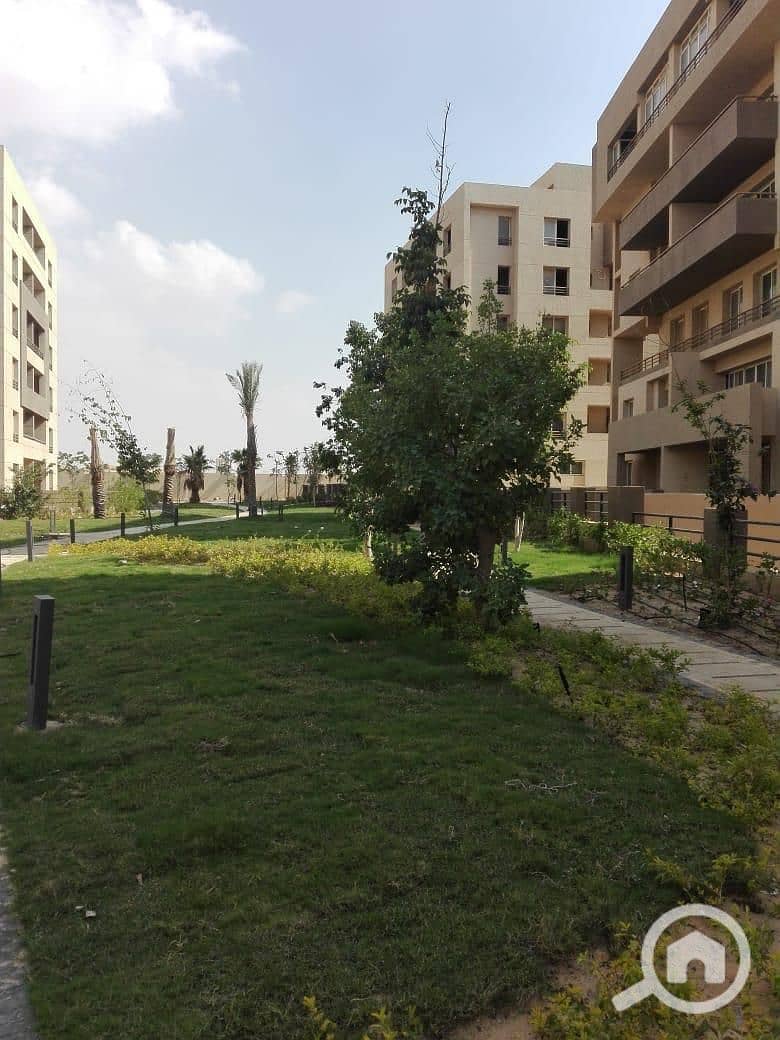 4 WhatsApp Image 2018-10-27 at 11.56. 25 AM. jpeg