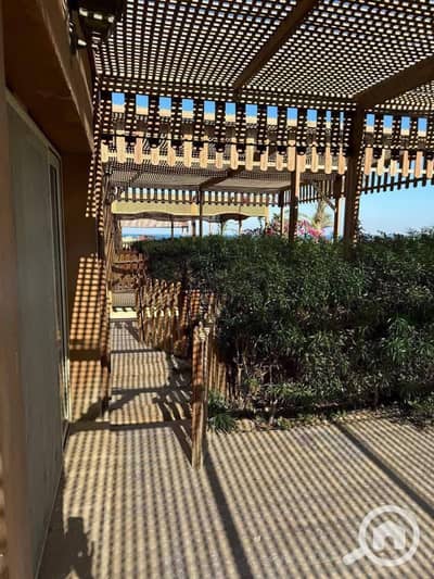 3 Bedroom Villa for Sale in Ain Sukhna, Suez - WhatsApp Image 2025-10-19 at 3.41. 40 PM (2). jpeg