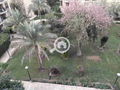 فلیٹ 3 غرف نوم للايجار في القاهرة الجديدة، القاهرة - 1000630202. heic فلیٹ 3 غرف نوم للايجار في القاهرة الجديدة، القاهرة - 1000630202. heic