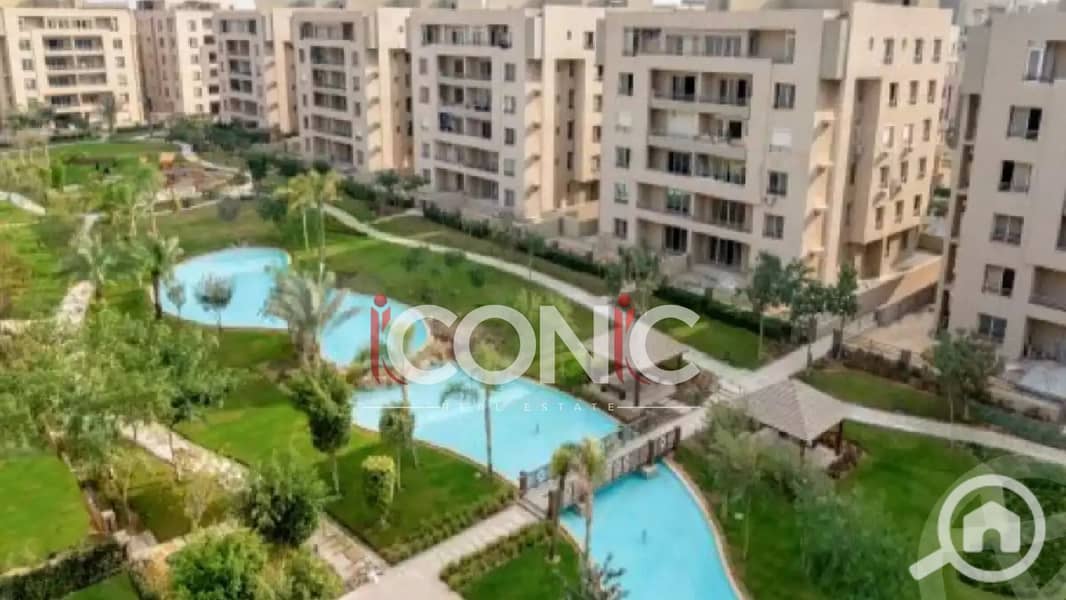 7 Untitled design (67). png