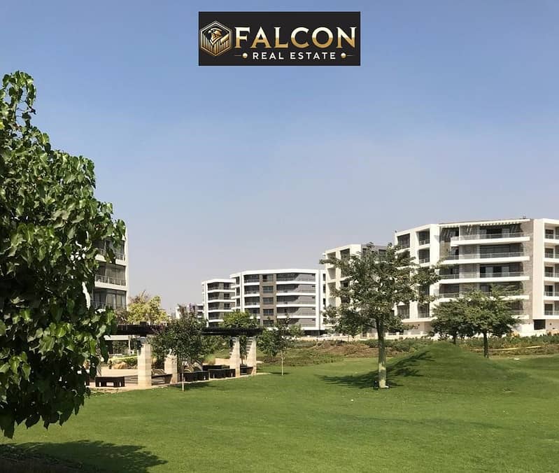 8 396022558_257433683984598_491171521386135404_n. jpg