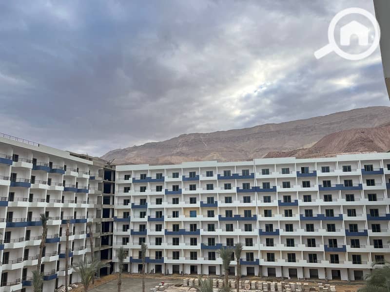 10 441284466_122100625880300758_5438707786895564406_n. jpg