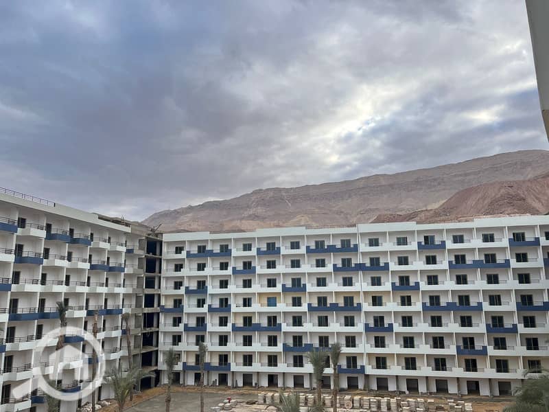 10 441284466_122100625880300758_5438707786895564406_n. jpg