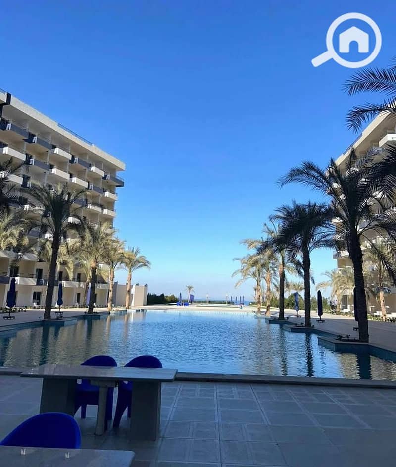 6 499527761_2912502515618222_6472109143380936776_n. jpg