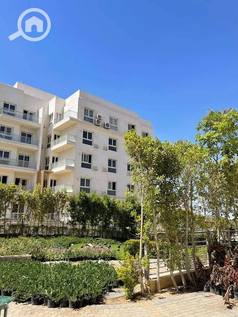 6 FB_IMG_1691824636660. jpg