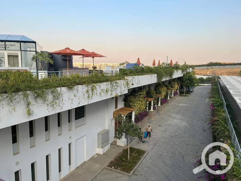 7 FB_IMG_1691917775487. jpg