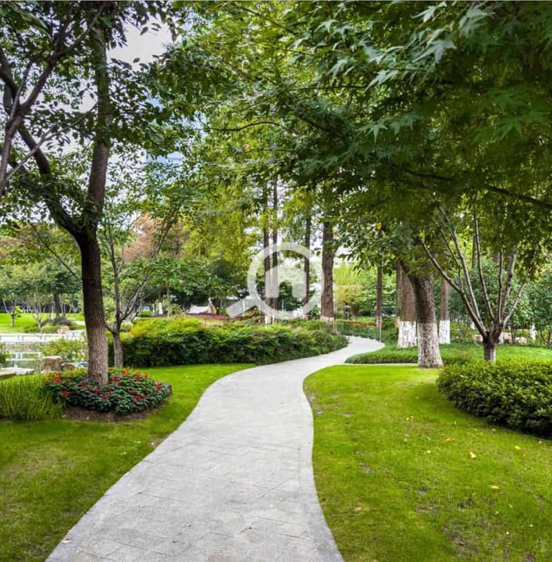 9 c5f9dafd-ea77-4953-86db-41e8c74f4009. jpg