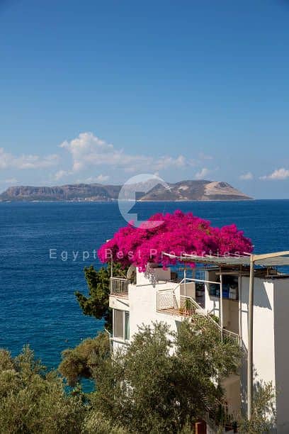 19 istockphoto-1482293857-612x612. jpg