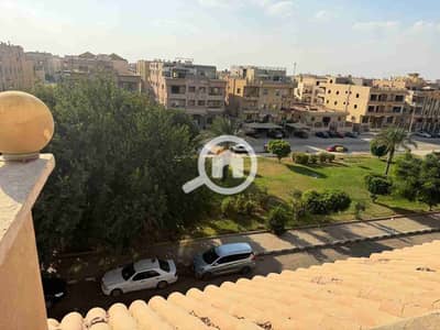 3 Bedroom Flat for Rent in New Cairo, Cairo - 300209. jpg