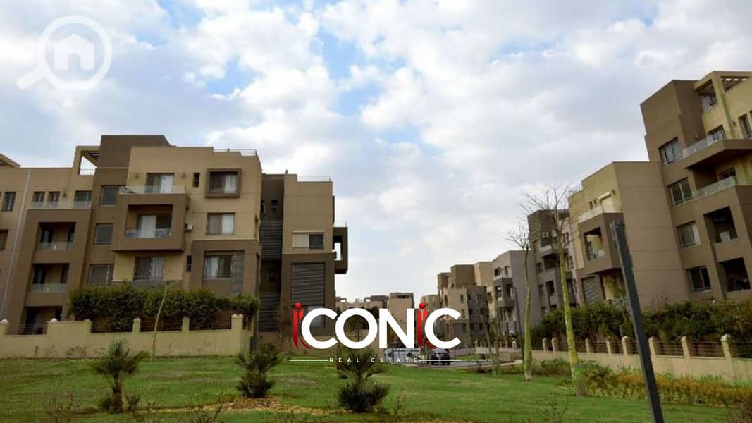 7 Untitled design (58). png