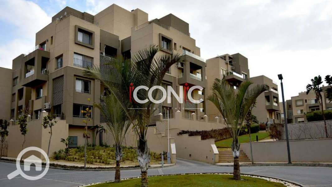 8 Untitled design (59). png