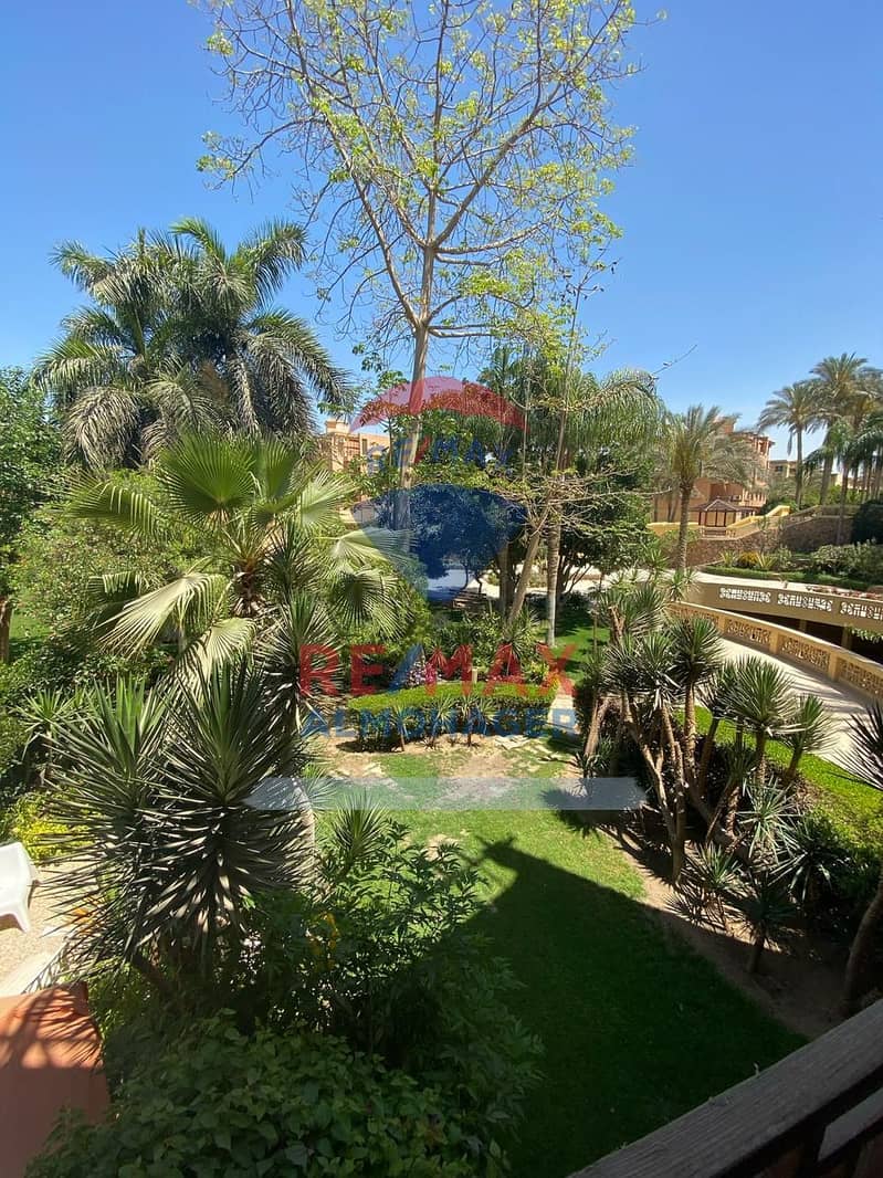 3 IMG-20251026-WA0032. jpg