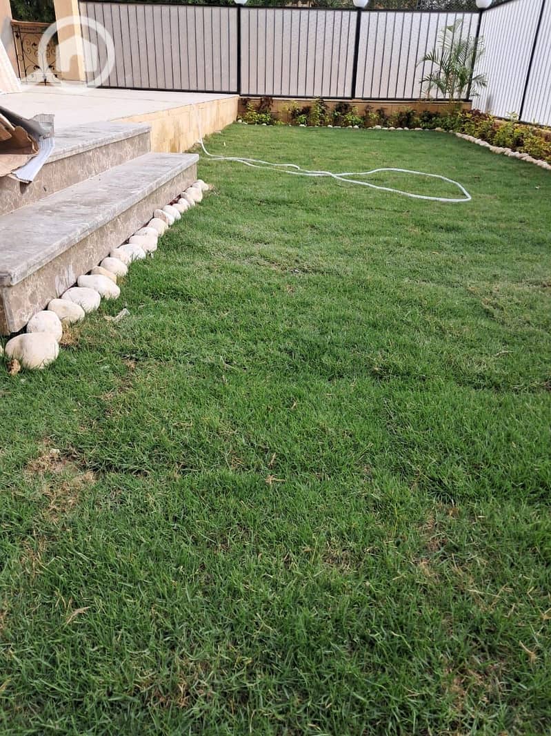 11 IMG-20251026-WA0253. jpg