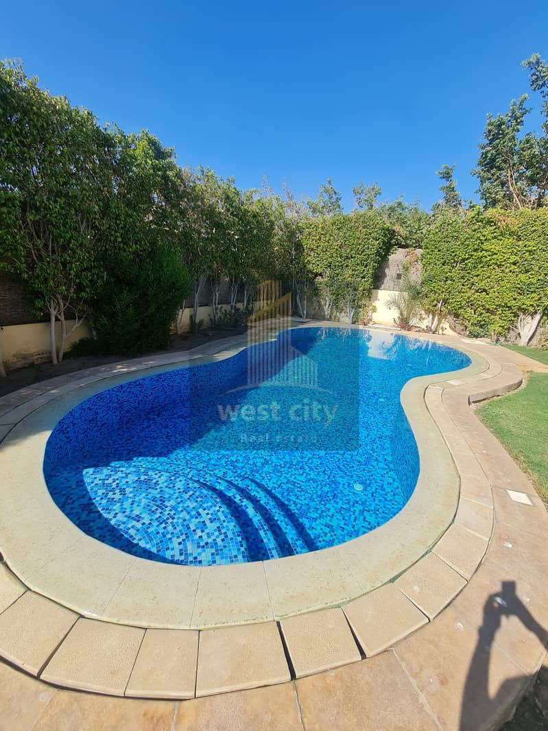 3 20251024_143952. jpg