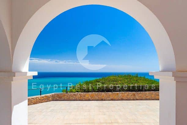 16 istockphoto-1411479809-612x612. jpg