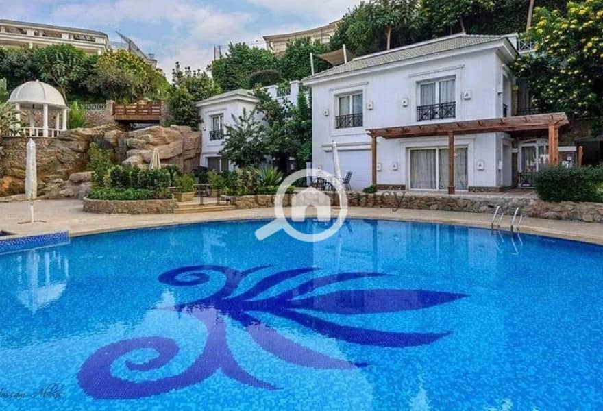 3 60128df6-3a45-4ddd-b939-637b4b055f13. png