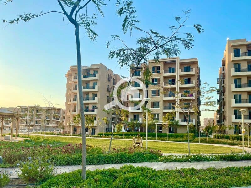 6 WhatsApp Image 2024-01-16 at 13.32. 06_f658edae. jpg